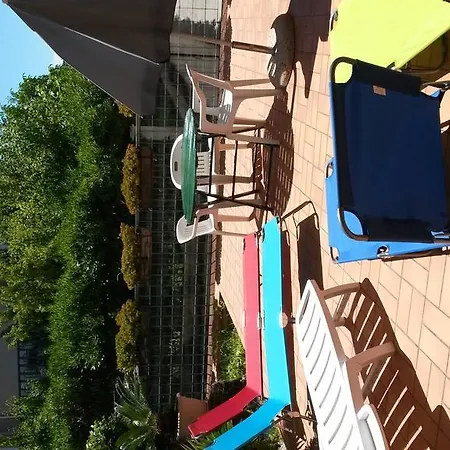 Mirta